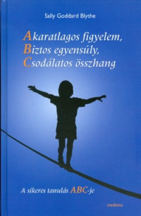 Akaratlagos figyelem, Biztos egyensúly, Csodálatos összhang