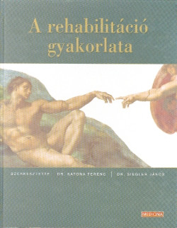 A rehabilitáció gyakorlata
