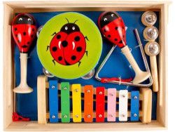 Hangszerkészlet (katicás, 6 darabos)