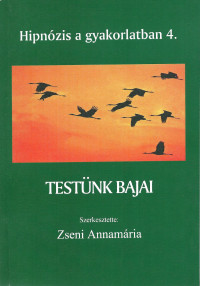 Testünk bajai