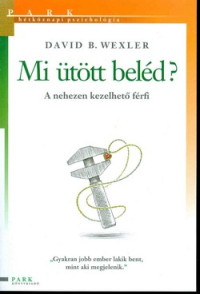 Mi ütött beléd?