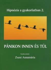 Pánikon innen és túl