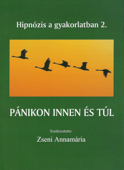 Pánikon innen és túl