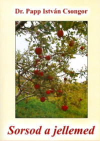Sorsod a jellemed