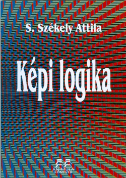 Képi logika