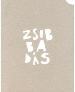 ​Zsibbadás - Könyv a pánikbetegségről